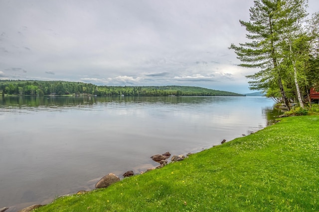 property view of water featuring a wooded view