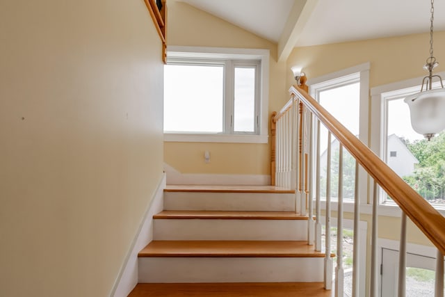 staircase with lofted ceiling and wood-type flooring