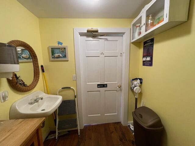 bathroom featuring sink and hardwood / wood-style floors