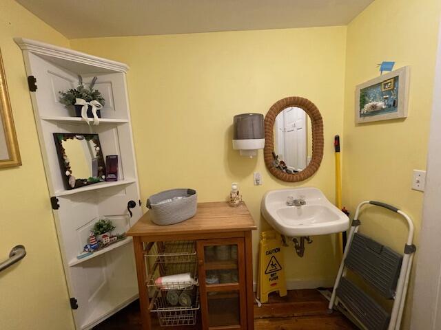 bathroom featuring sink and wood-type flooring