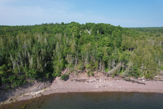 38 Kingsbury Ln, Perry, ME 04667 - aerial view of property's location with a heavily wooded area