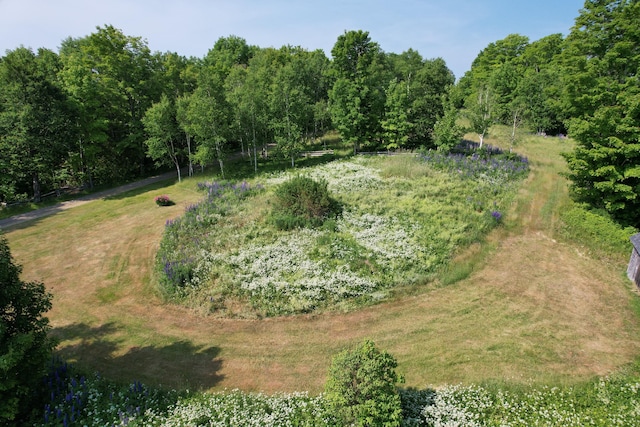 38 Kingsbury Ln, Perry, ME 04667 - aerial view of property's location