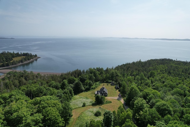 38 Kingsbury Ln, Perry, ME 04667 - bird's eye view of a nearby body of water and a forest
