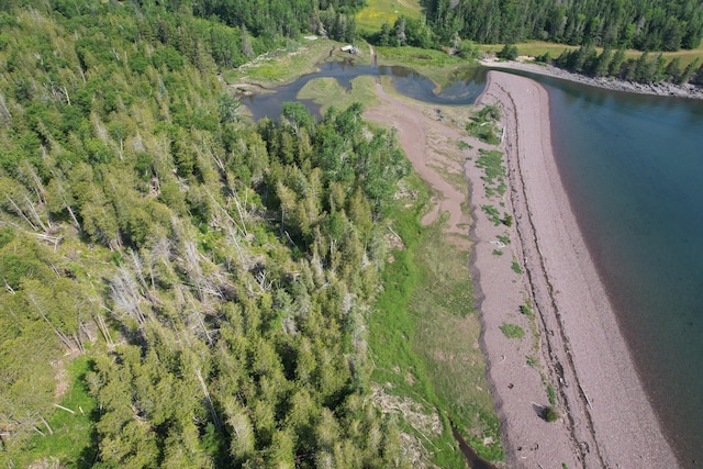 38 Kingsbury Ln, Perry, ME 04667 - aerial view of property's location featuring a large body of water and a forest