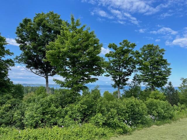 38 Kingsbury Ln, Perry, ME 04667 - view of wooded area