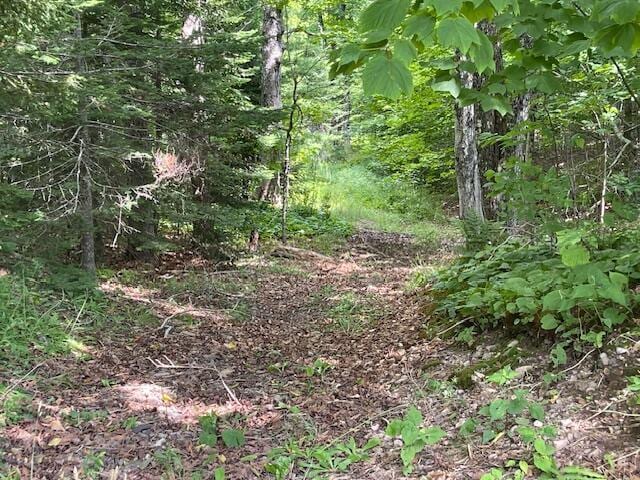 38 Kingsbury Ln, Perry, ME 04667 - view of wooded area