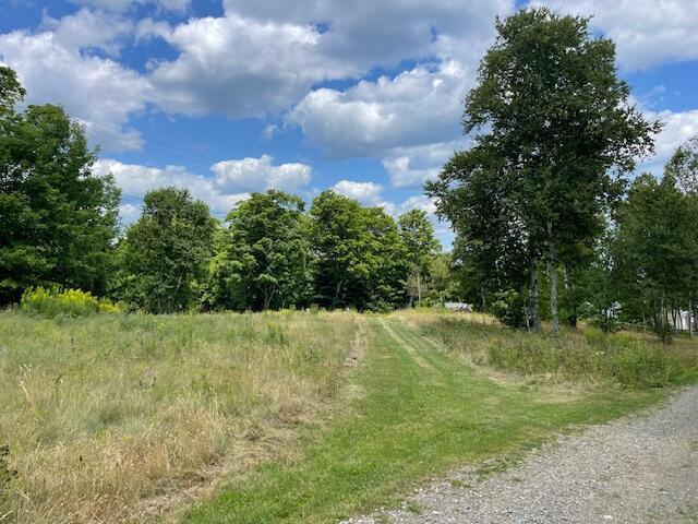 38 Kingsbury Ln, Perry, ME 04667 - view of undeveloped land