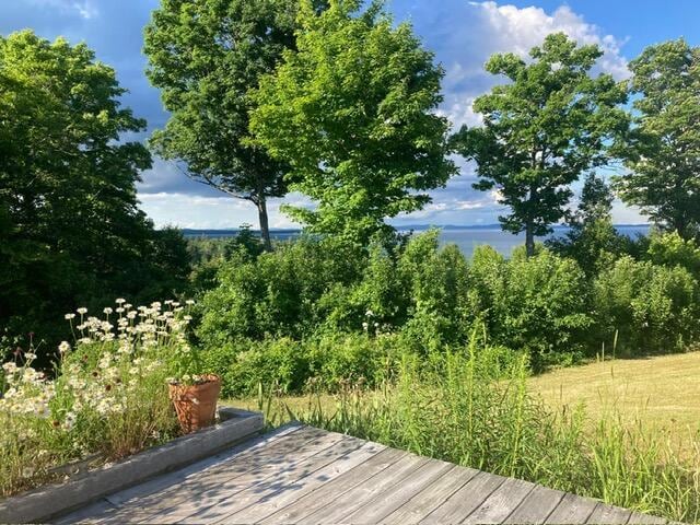 38 Kingsbury Ln, Perry, ME 04667 - view of wooden deck