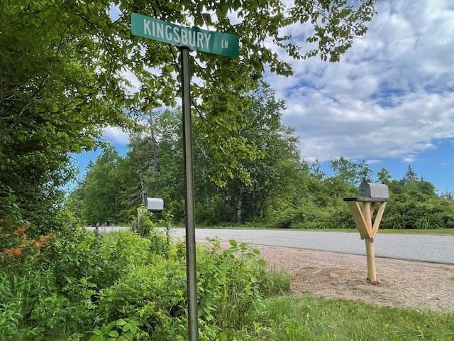 38 Kingsbury Ln, Perry, ME 04667 - view of asphalt road