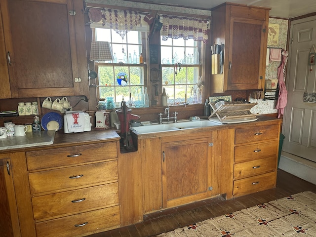 kitchen with sink and dark hardwood / wood-style floors