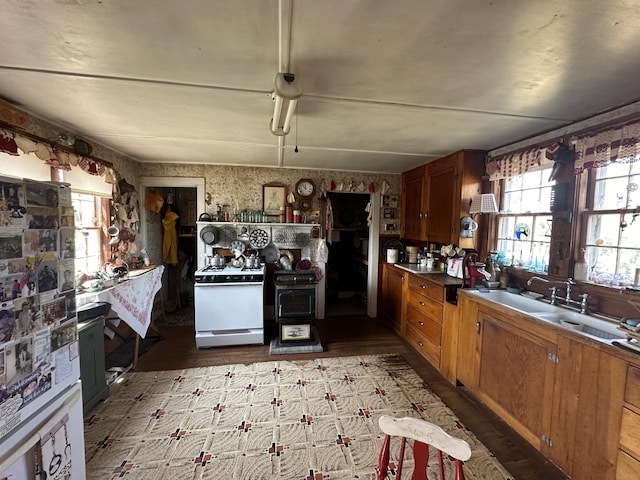 kitchen featuring sink, white gas stove, and hardwood / wood-style floors