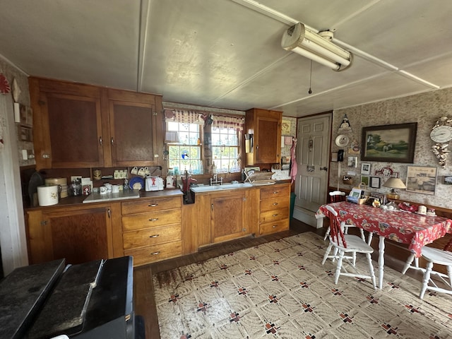 kitchen with sink and light wood-type flooring