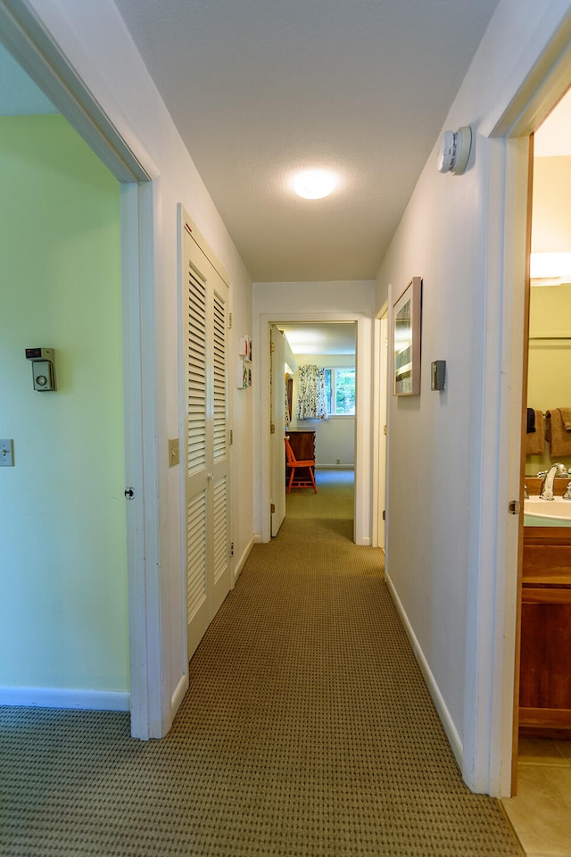 hallway featuring sink and carpet