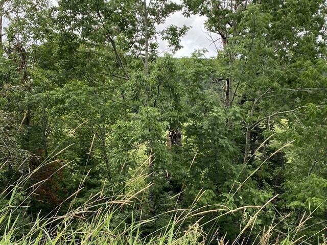 TBD E Main Rd E, Carroll Plt, ME 04963