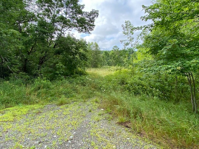 TBD E Main Rd E, Carroll Plt ME, 04963 land for sale