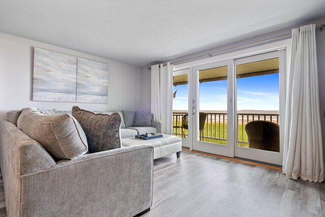 living room featuring light hardwood / wood-style floors