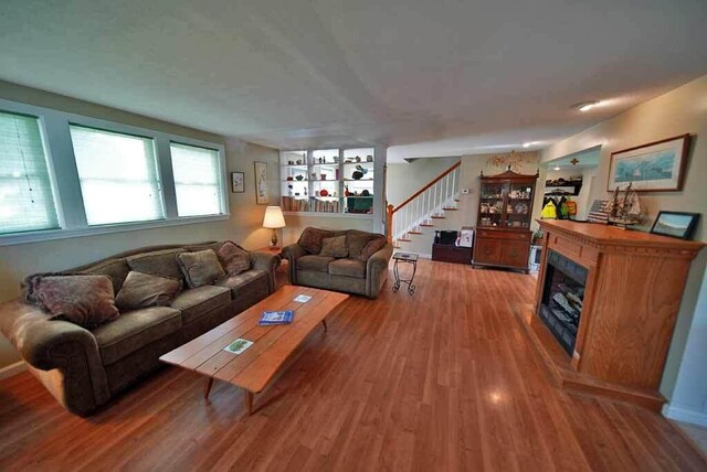 living room featuring wood-type flooring