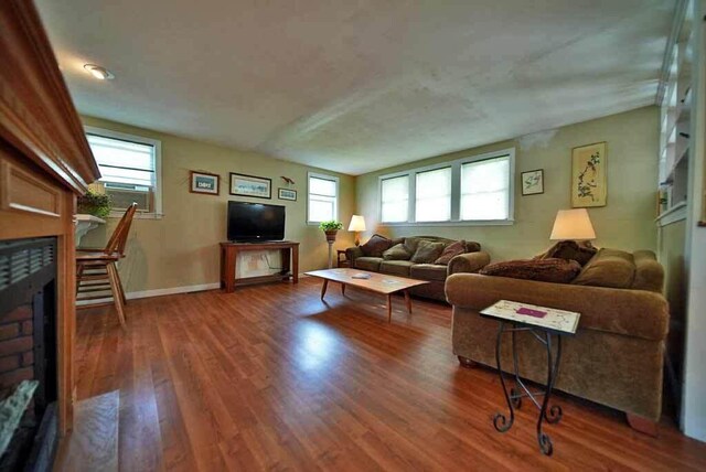 living room featuring wood-type flooring