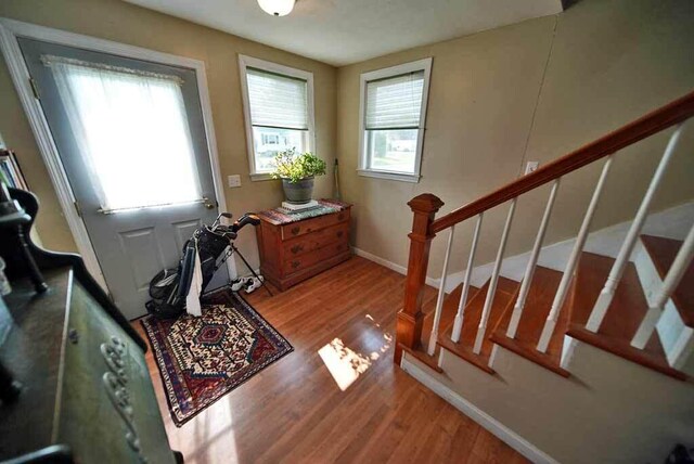 foyer featuring light hardwood / wood-style flooring and a wealth of natural light