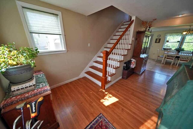 staircase featuring an inviting chandelier, hardwood / wood-style flooring, and plenty of natural light