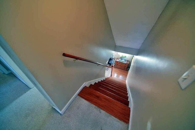 stairway with hardwood / wood-style flooring