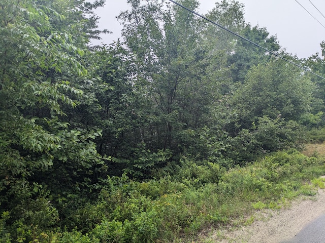 280 Willey District Rd, Cherryfield, ME 04622 - photo 2