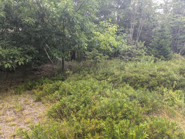 280 Willey District Rd, Cherryfield, ME 04622 - photo 3