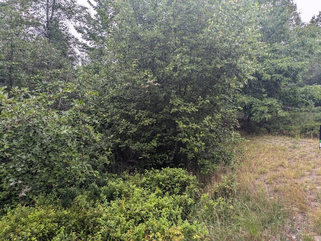 280 Willey District Rd, Cherryfield, ME 04622 - photo 4