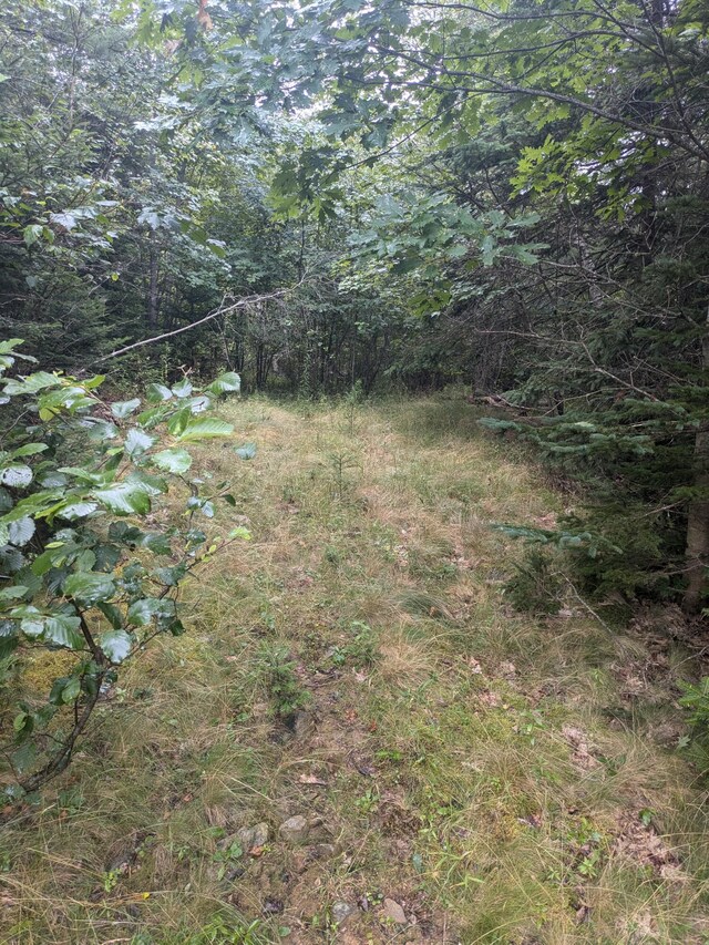 280 Willey District Rd, Cherryfield, ME 04622 - photo 5