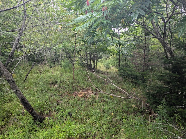 280 Willey District Rd, Cherryfield, ME 04622 - photo 6