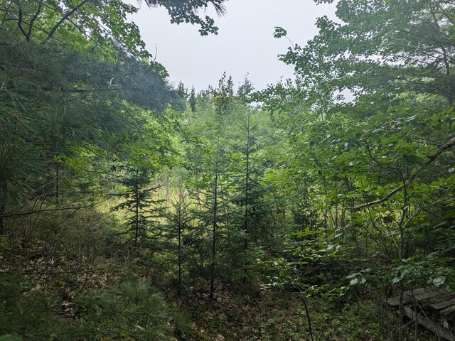 280 Willey District Rd, Cherryfield, ME 04622 - photo 7