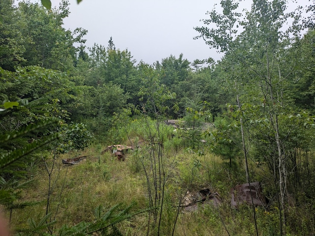 280 Willey District Rd, Cherryfield, ME 04622 - photo 1