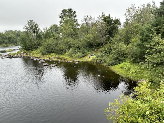 view of water feature