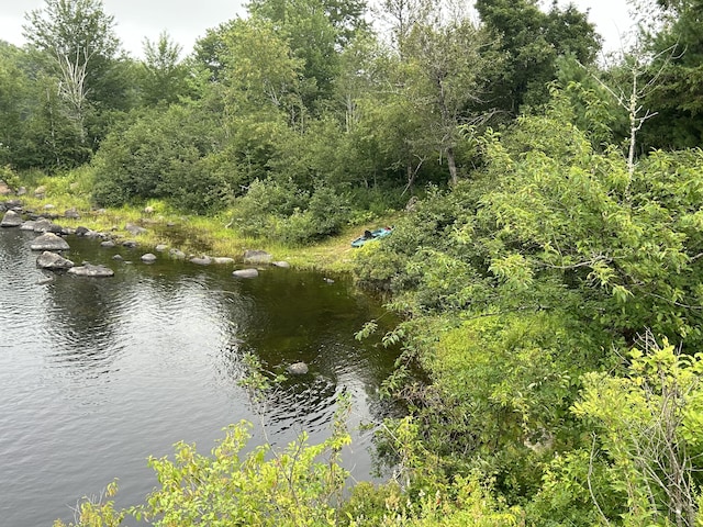 view of water feature