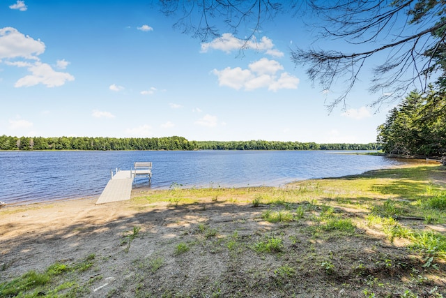 water view featuring a boat dock