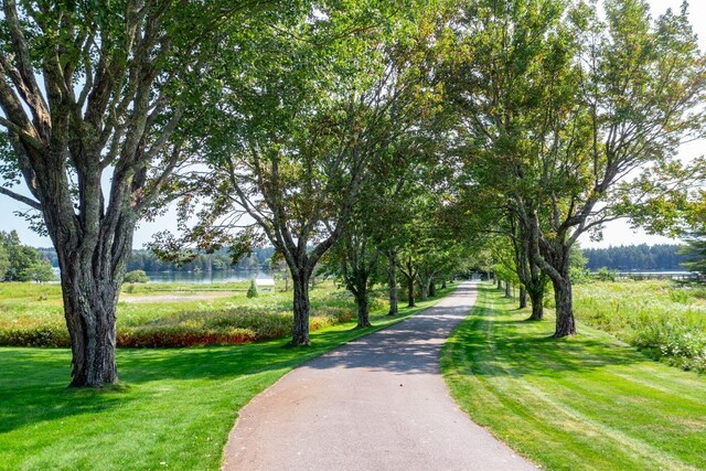 view of community featuring a yard