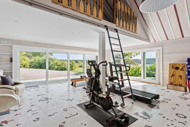 workout room with carpet floors and lofted ceiling