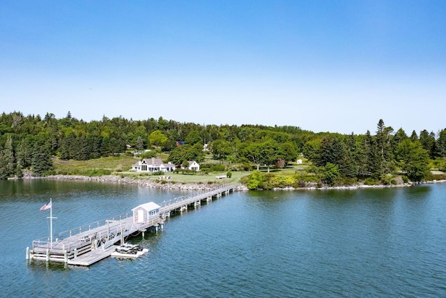 property view of water featuring a boat dock