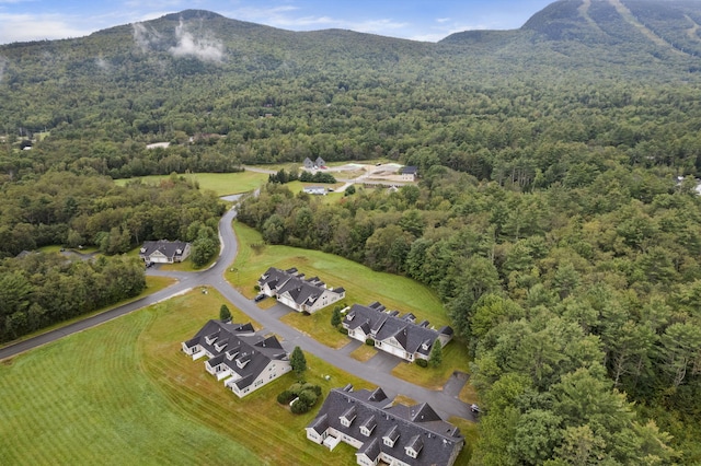 bird's eye view featuring a mountain view