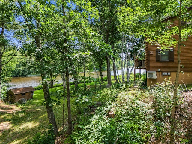 view of yard with a shed