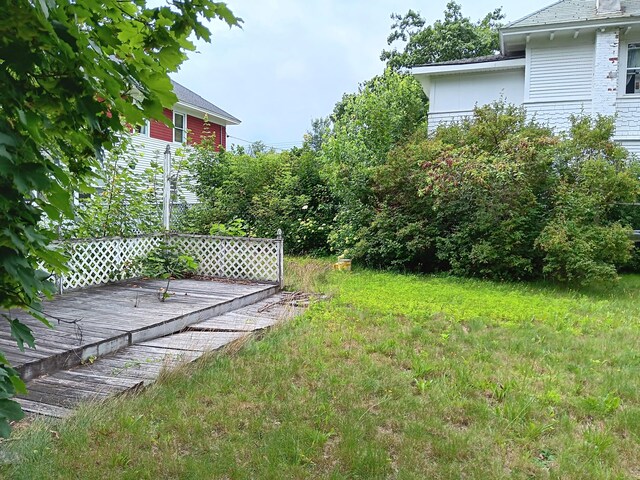 view of yard featuring a wooden deck