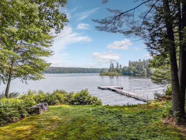 property view of water featuring a boat dock