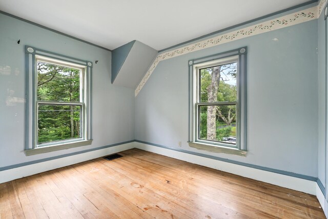 bonus room with light hardwood / wood-style flooring and plenty of natural light