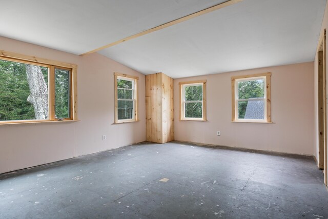 spare room featuring vaulted ceiling