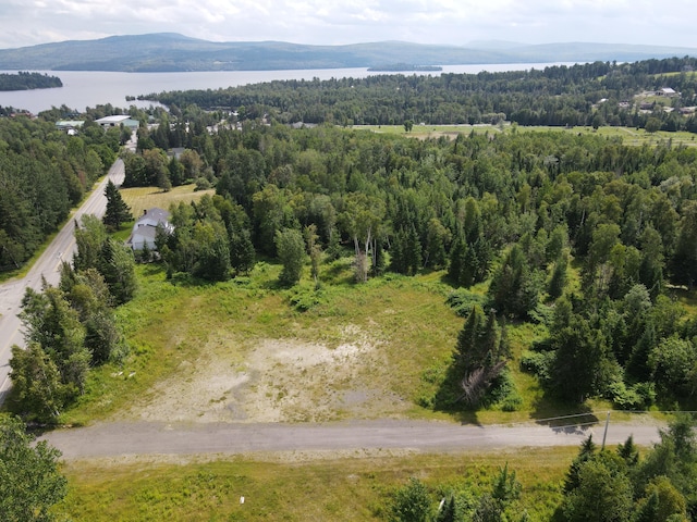 LOTA-1 Loon Lake Rd, Rangeley ME, 04970 land for sale