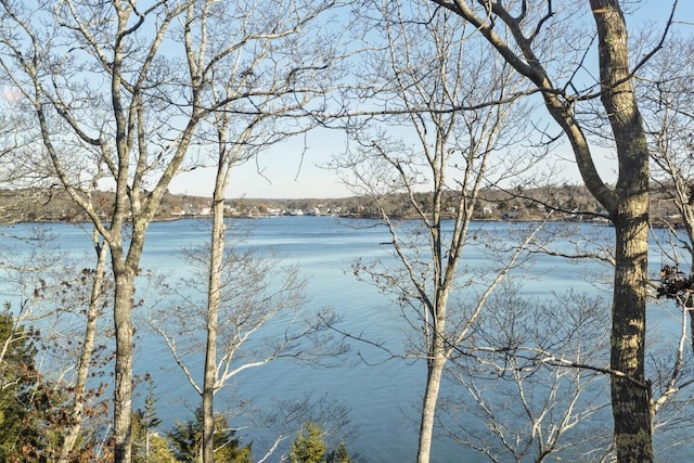 property view of water