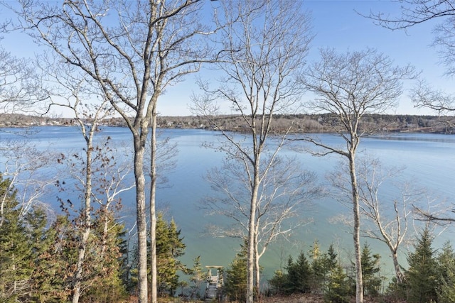 view of water feature