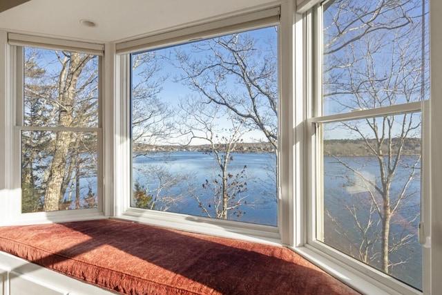 room details with a water view