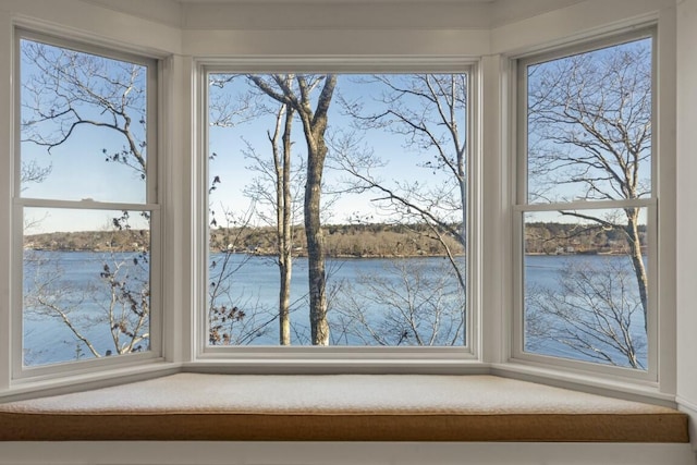 interior details with a water view