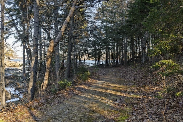 view of road with a water view